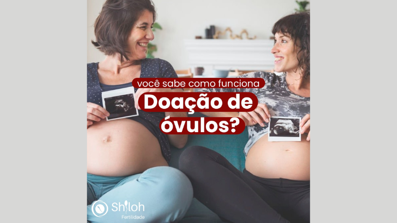 A relação entre endometriose e infertilidade é tema de destaque nas análises de Oluwatosin Tolulope Ajidahun.

