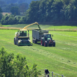 Alfredo Moreira Filho