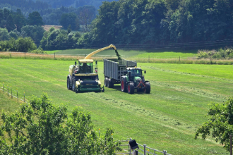 Alfredo Moreira Filho