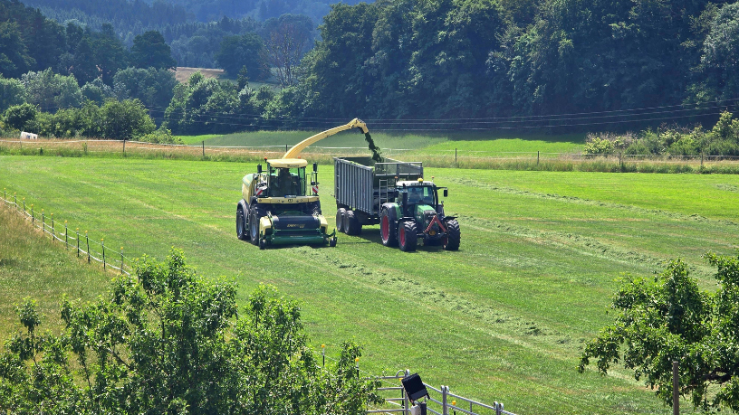 Alfredo Moreira Filho