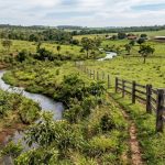 Wander Aguilera Almeida